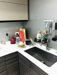 d'Nest (D18), Condominium #405475441
